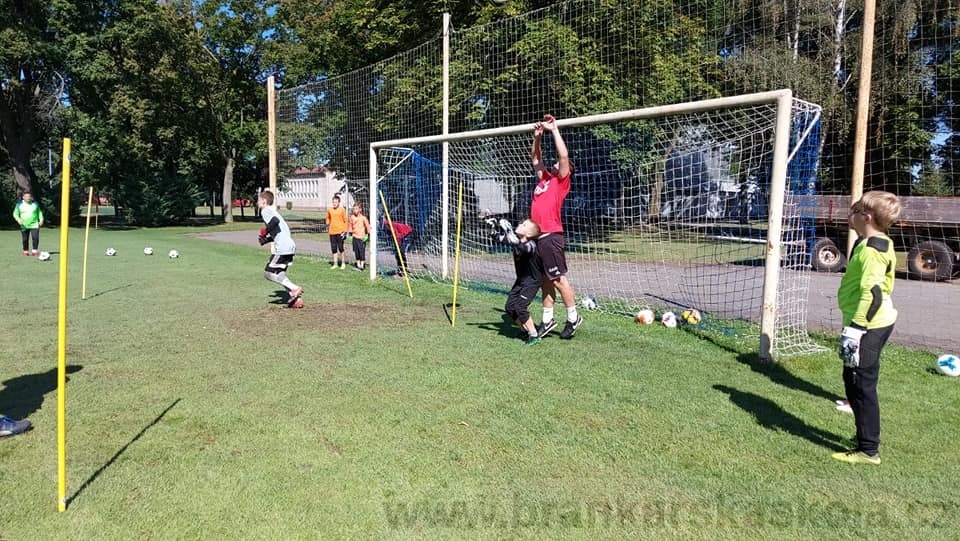 BFŠJCH - Léto 2020 - 2. turnus