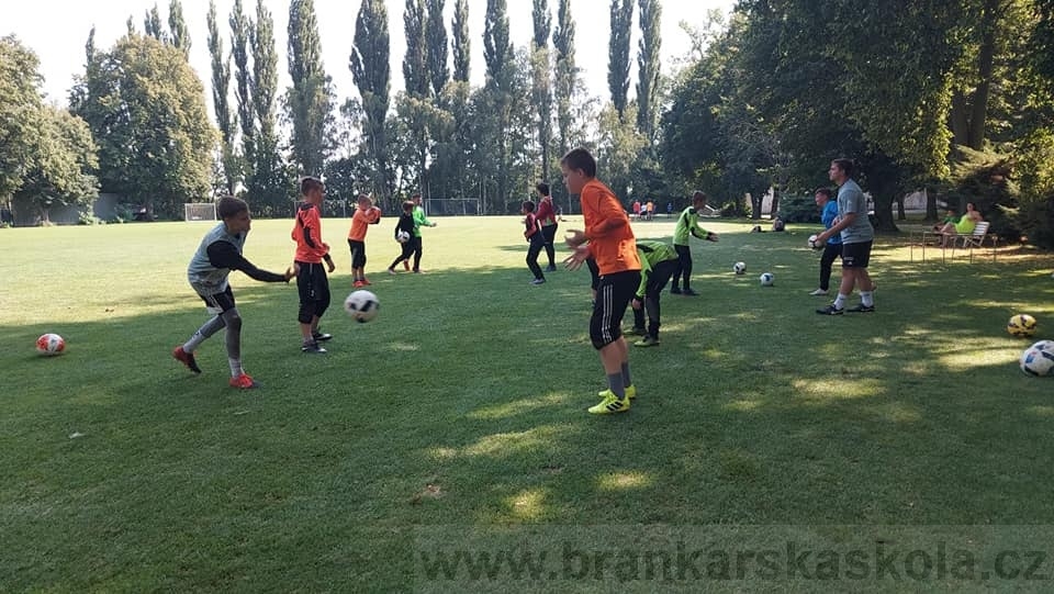 BFŠJCH - Léto 2020 - 2. turnus