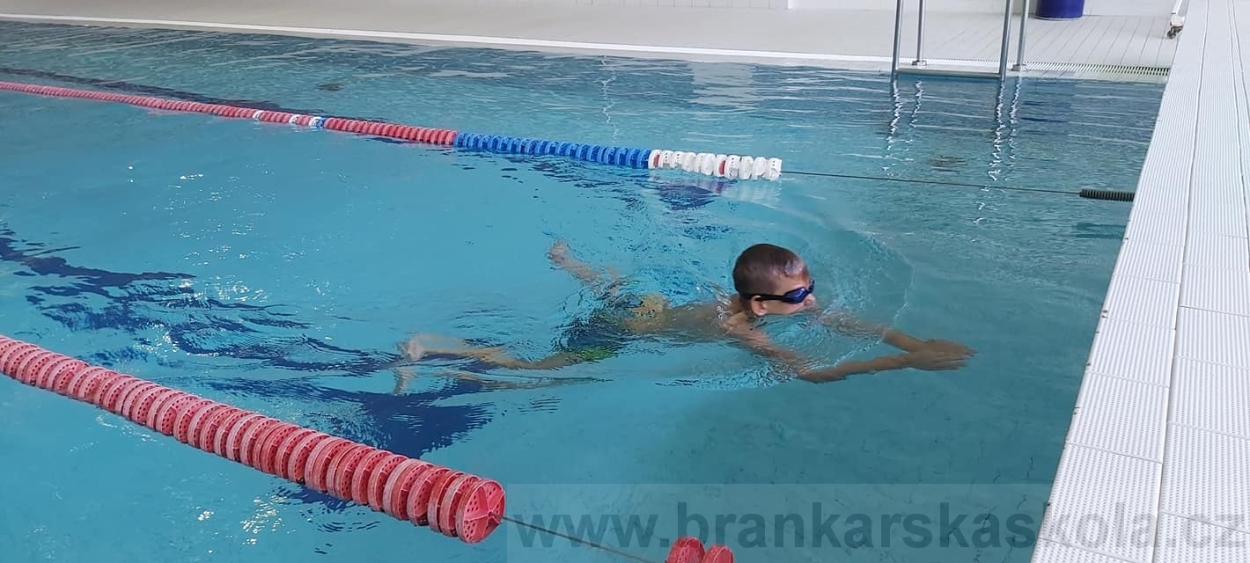 BFŠJCH - Léto 2020 - 2. turnus