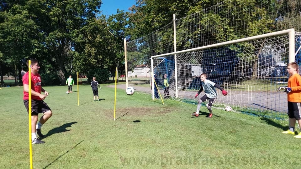 BFŠJCH - Léto 2020 - 2. turnus