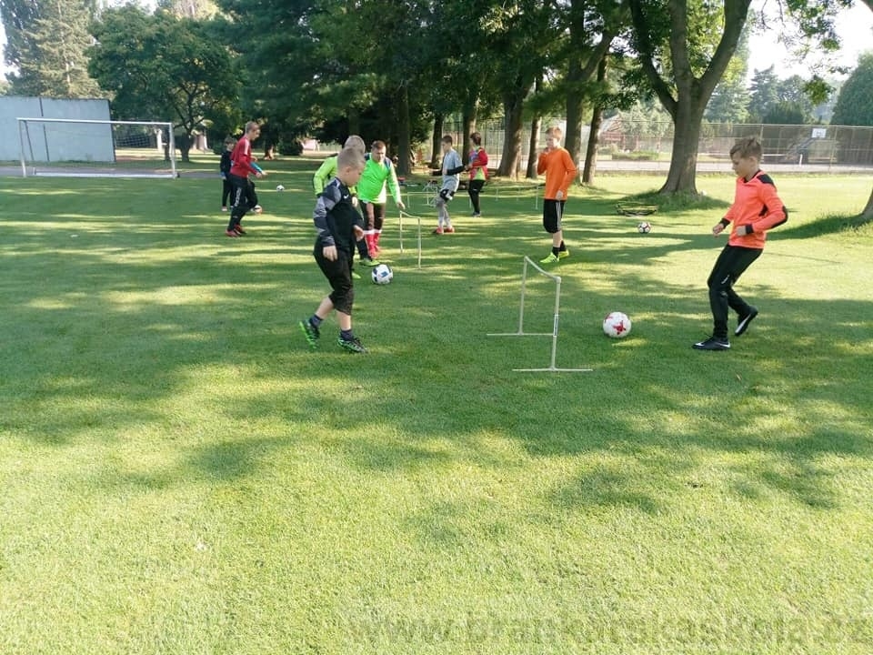 BFŠJCH - Léto 2020 - 2. turnus