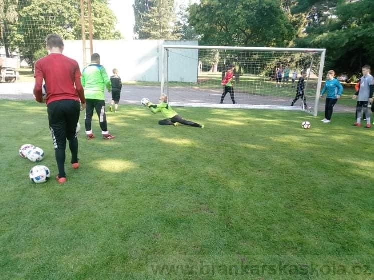 BFŠJCH - Léto 2020 - 2. turnus