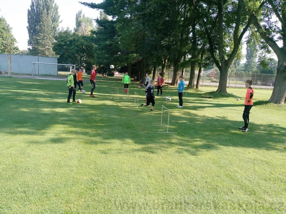 BFŠJCH - Léto 2020 - 2. turnus