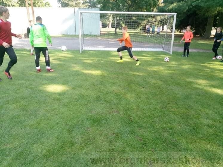 BFŠJCH - Léto 2020 - 2. turnus