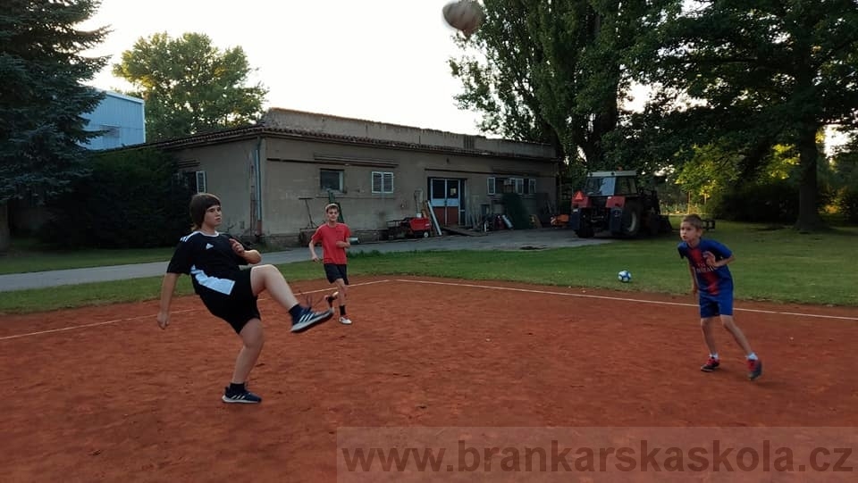 BFŠJCH - Léto 2020 - 2. turnus