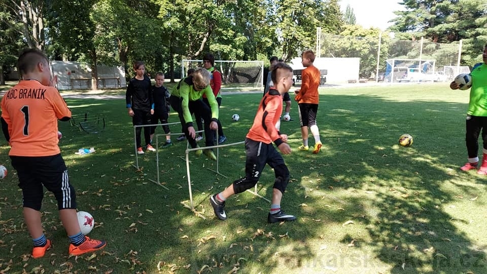 BFŠJCH - Léto 2020 - 2. turnus