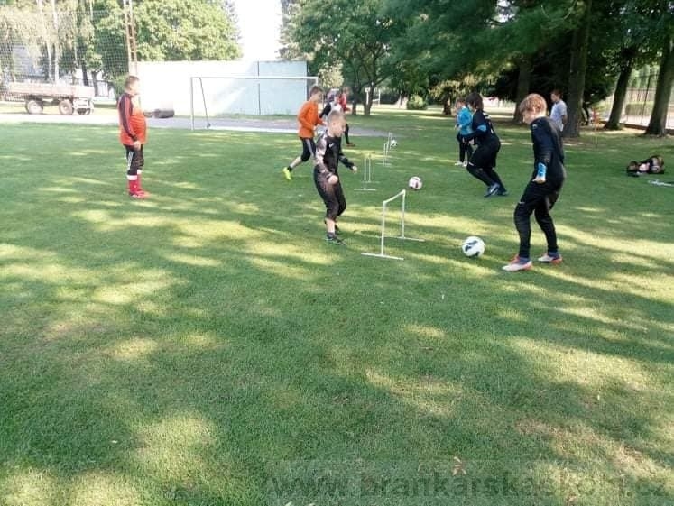 BFŠJCH - Léto 2020 - 2. turnus