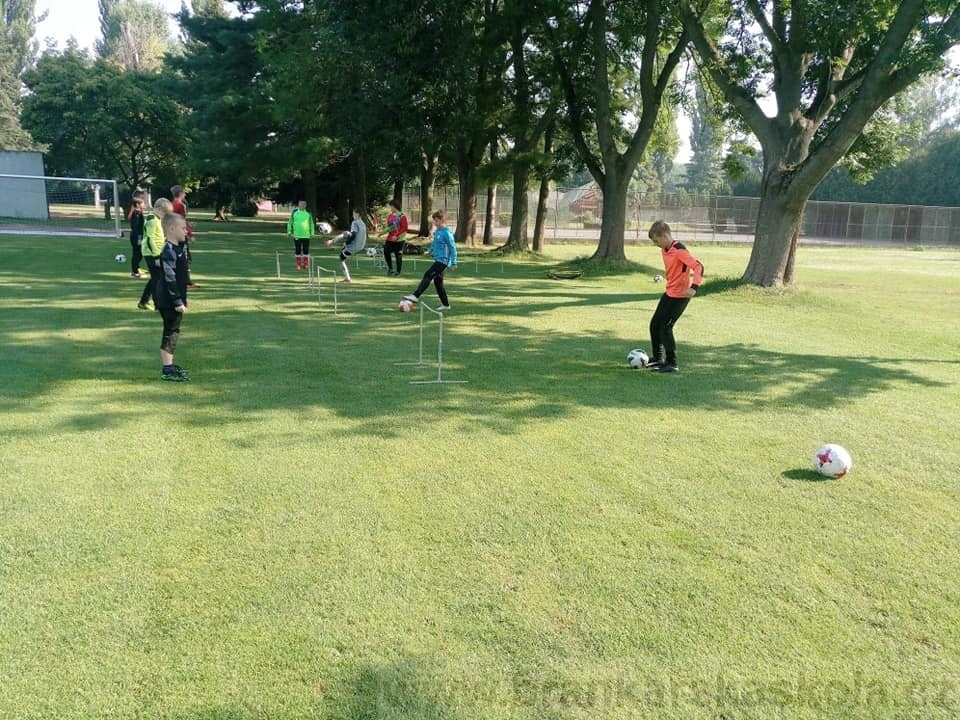 BFŠJCH - Léto 2020 - 2. turnus