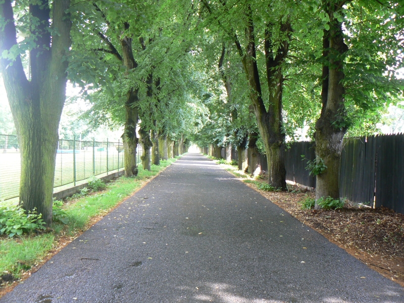 Fotografie z rozlu�ky Nymburka (21.6.2011)