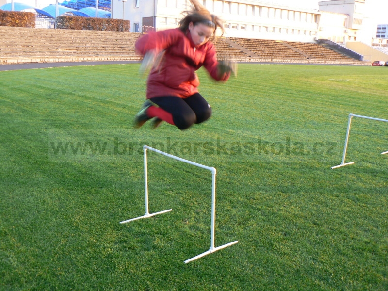 Tr�nink Mlad� Boleslavi (Pond�l�, 3.11.2008)