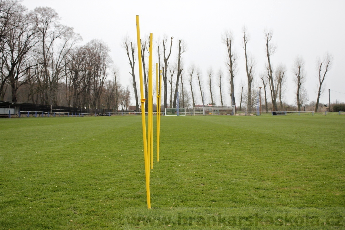 Brankářský trénink BFŠ - TJ AFK Nymburk - 18.3.2014