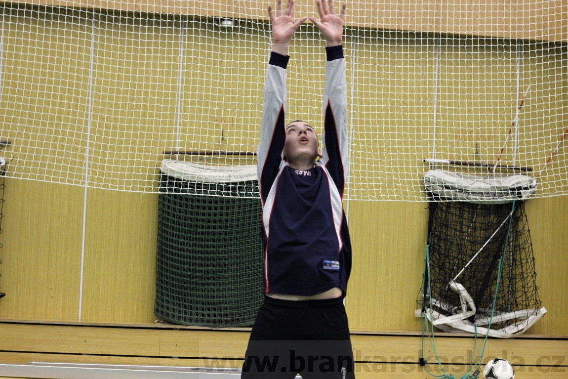Brankářský trénink BFŠ - TJ AFK Nymburk - 29.1.2014