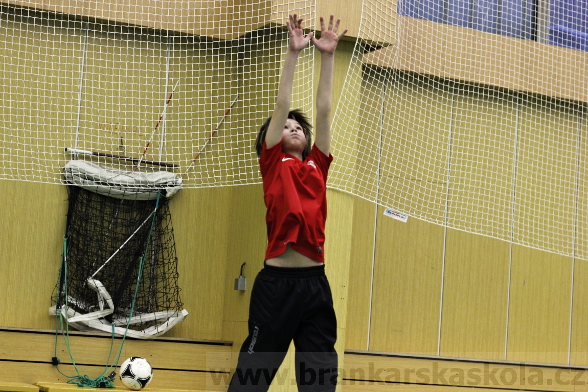 Brankářský trénink BFŠ - TJ AFK Nymburk - 29.1.2014
