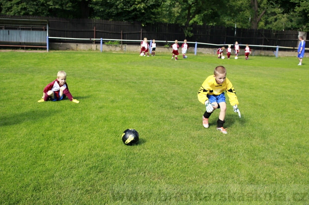 AFK Nymburk - Rozlučka minipřípravka 23.6.2014