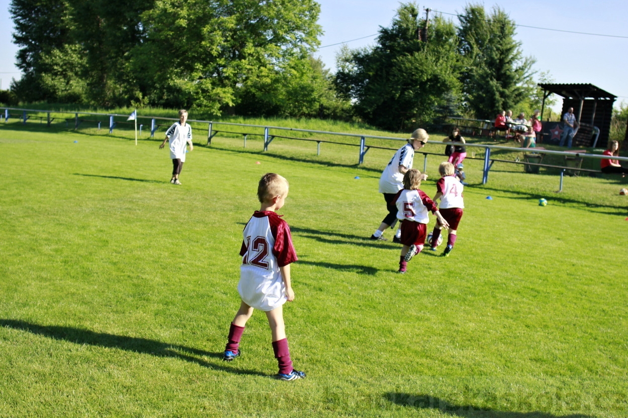 AFK Nymburk - Rozlučka minipřípravka 23.6.2014