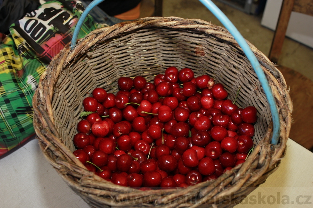 AFK Nymburk - Rozlučka minipřípravka 23.6.2014