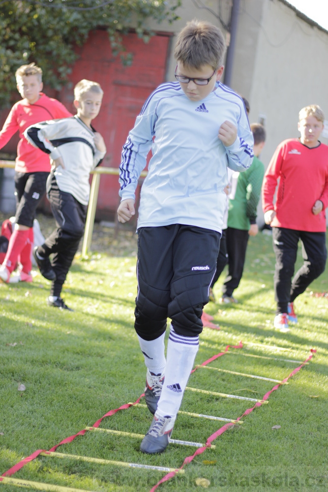  Brank��sk� tr�nink BF� - FK Viktoria �i�kov - 18.9.2012