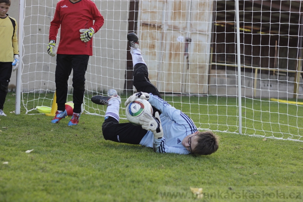  Brank��sk� tr�nink BF� - FK Viktoria �i�kov - 18.9.2012