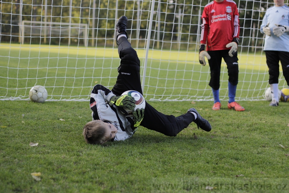  Brank��sk� tr�nink BF� - FK Viktoria �i�kov - 18.9.2012