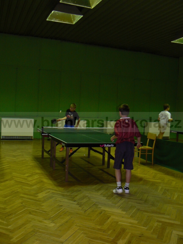 V�no�n� turnaj v ping pongu (30.12.2008)