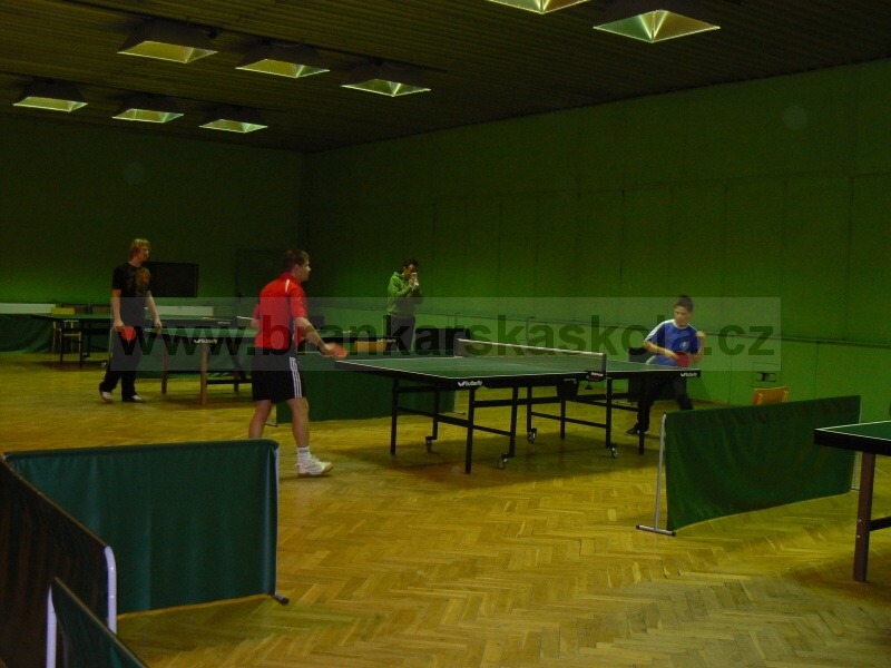 V�no�n� turnaj v ping pongu (30.12.2008)