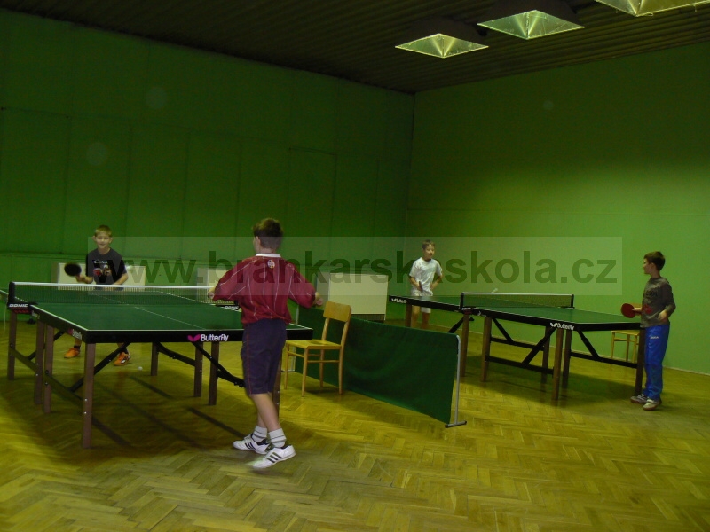 V�no�n� turnaj v ping pongu (30.12.2008)
