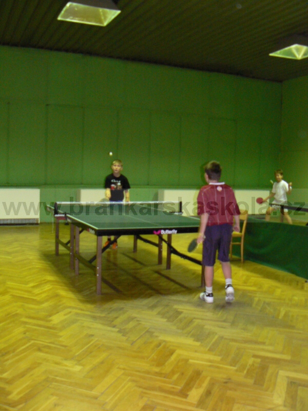 V�no�n� turnaj v ping pongu (30.12.2008)