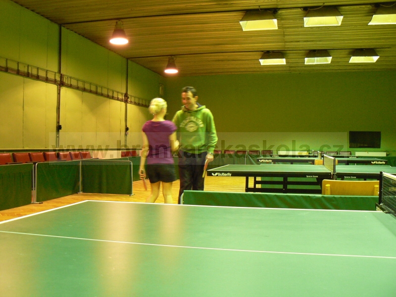 V�no�n� turnaj v ping pongu (30.12.2008)