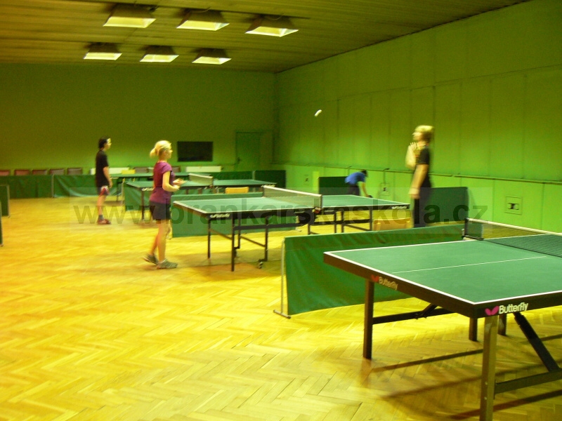 V�no�n� turnaj v ping pongu (30.12.2008)
