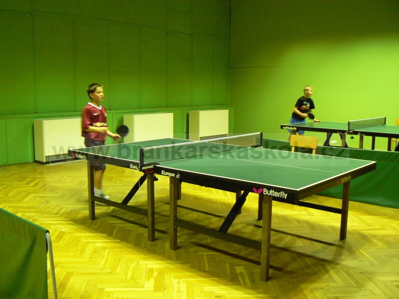 V�no�n� turnaj v ping pongu (30.12.2008)