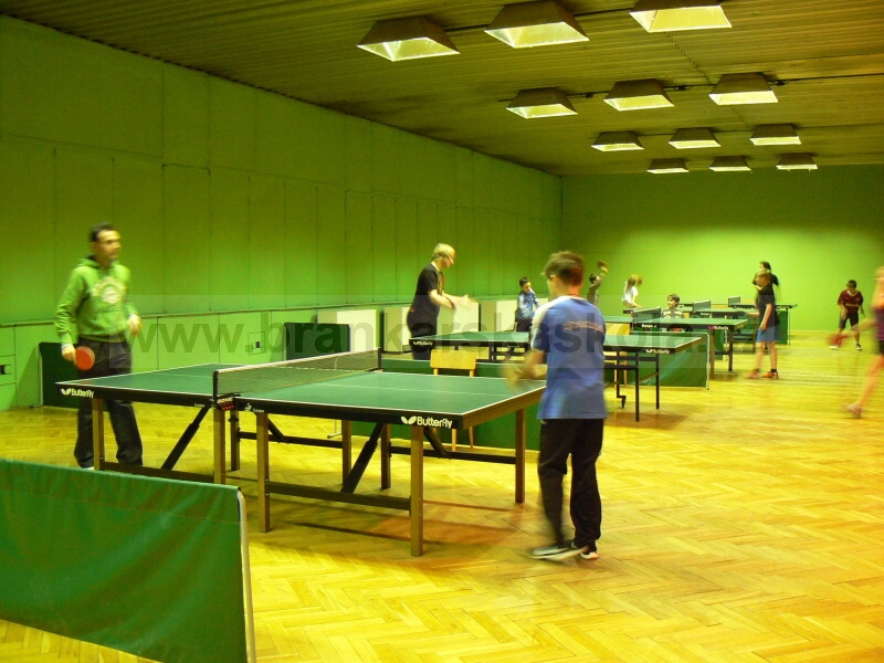 V�no�n� turnaj v ping pongu (30.12.2008)