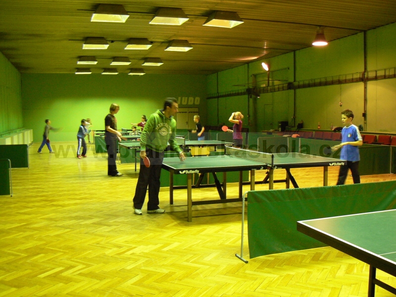 V�no�n� turnaj v ping pongu (30.12.2008)