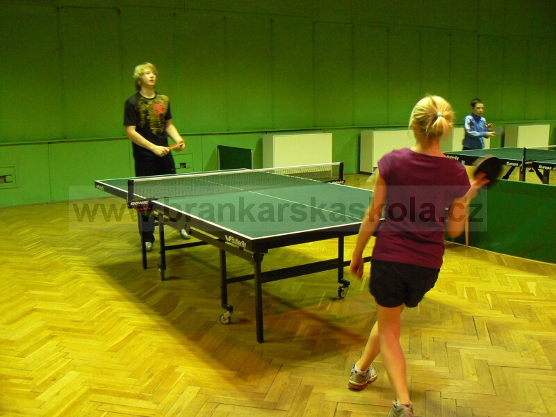 V�no�n� turnaj v ping pongu (30.12.2008)