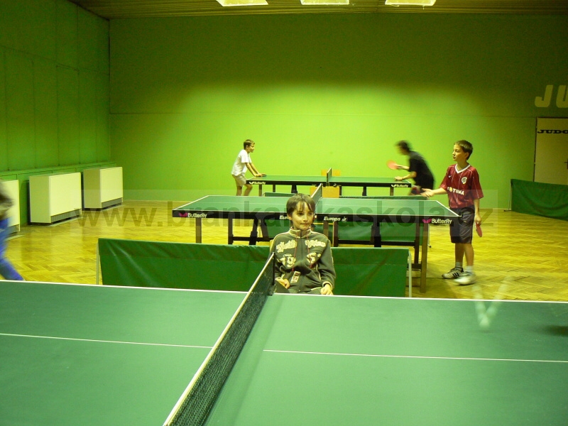 V�no�n� turnaj v ping pongu (30.12.2008)