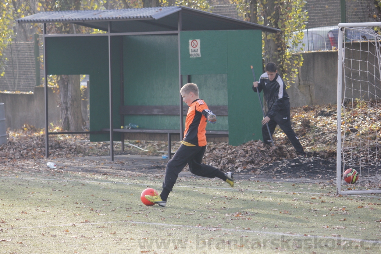 FK Meteor Praha - FK Viktoria Žižkov 16.11.2013 