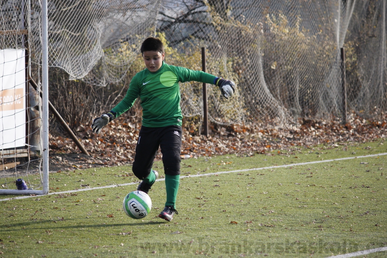 FK Meteor Praha - FK Viktoria Žižkov 16.11.2013 