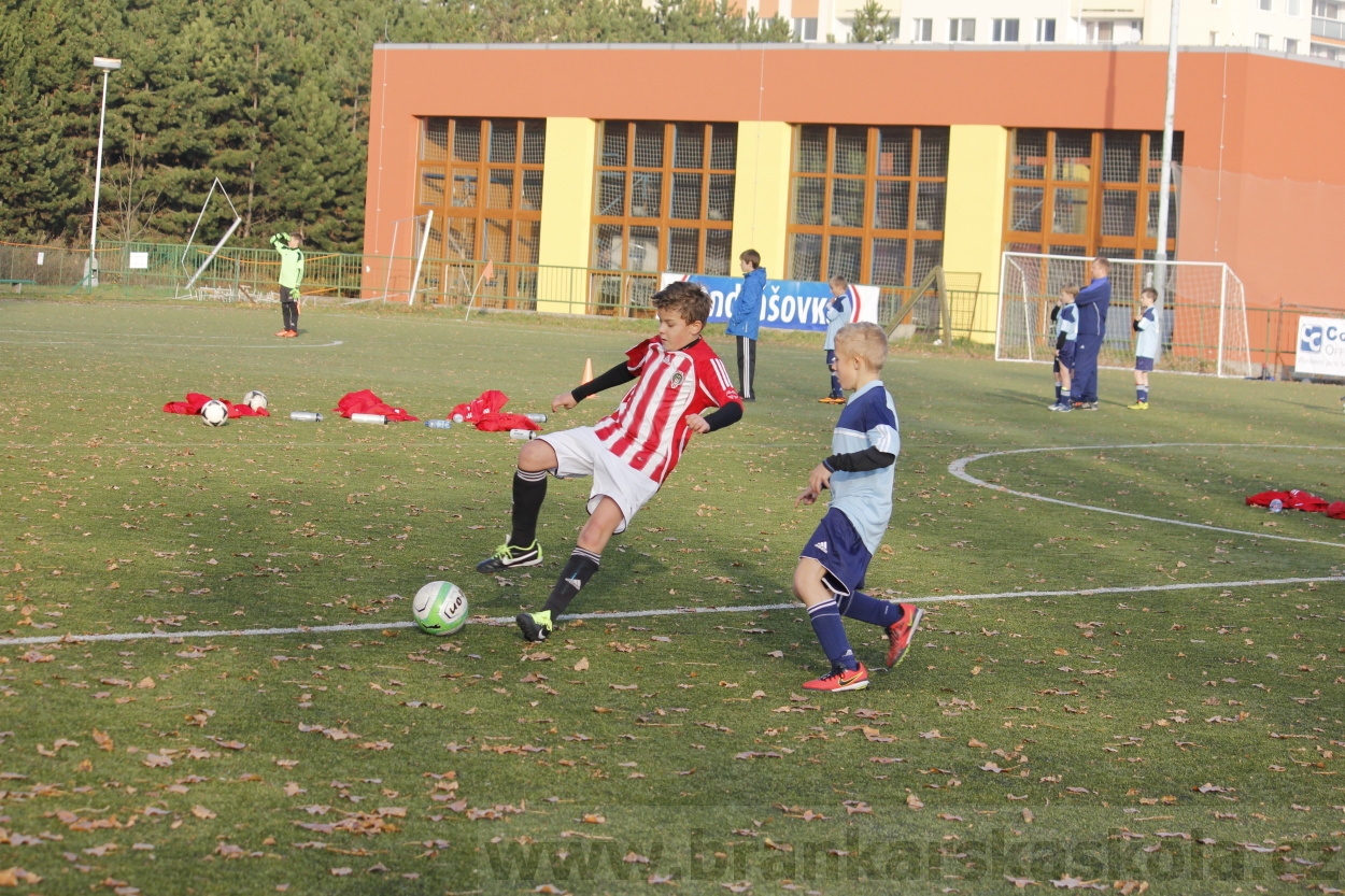 FK Meteor Praha - FK Viktoria Žižkov 16.11.2013 