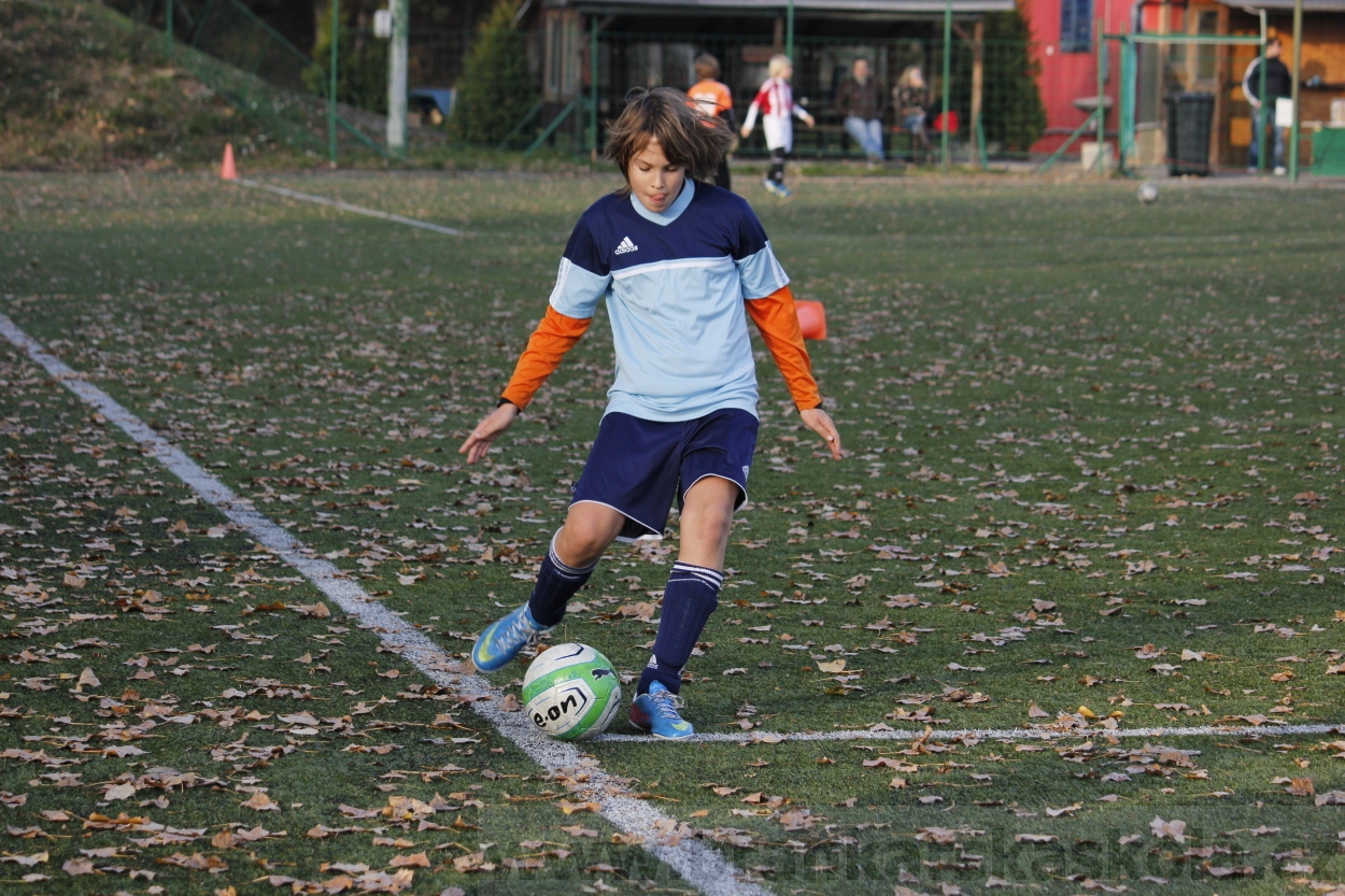 FK Meteor Praha - FK Viktoria Žižkov 16.11.2013 