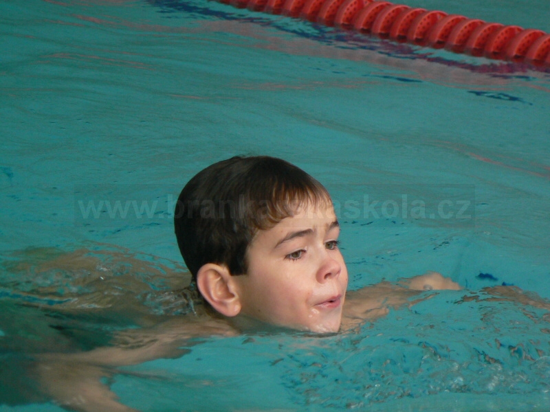 Soust�ed�n� Nymburk 2010 - 31.1.2010