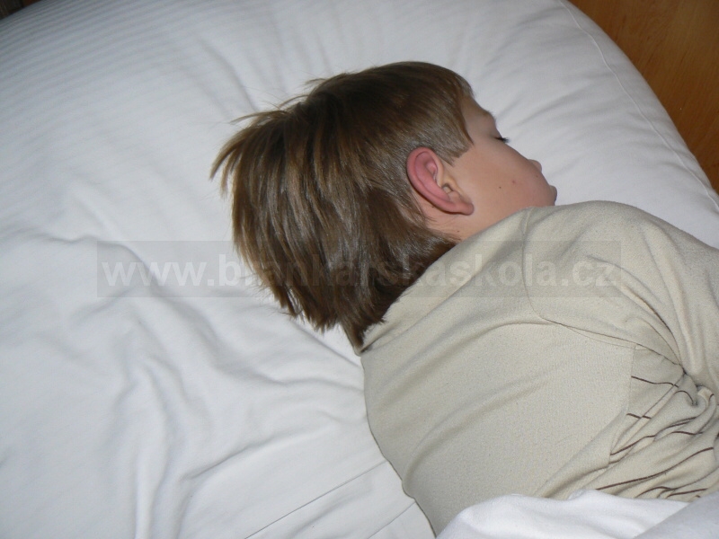 Soust�ed�n� Nymburk 2010 - Haj� pup�