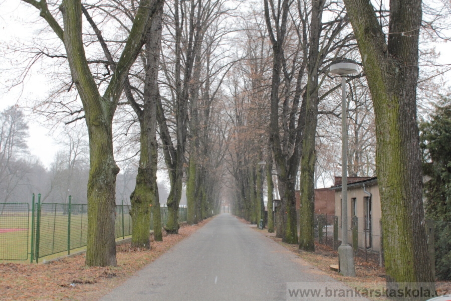 Zimn� soust�ed�n� SC Nymburk 2011 - 3.2.2011