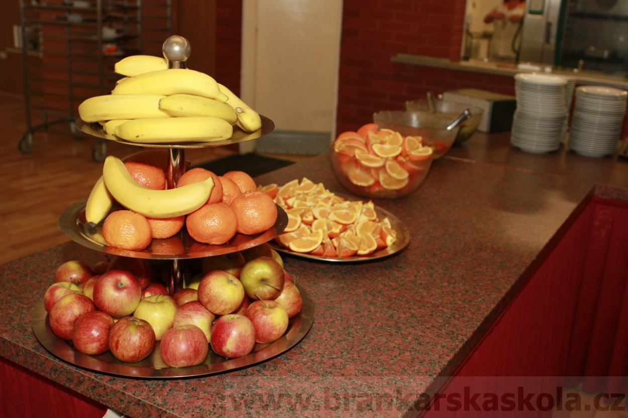 BFŠJCH - Zima 2015 - 1.2.2015