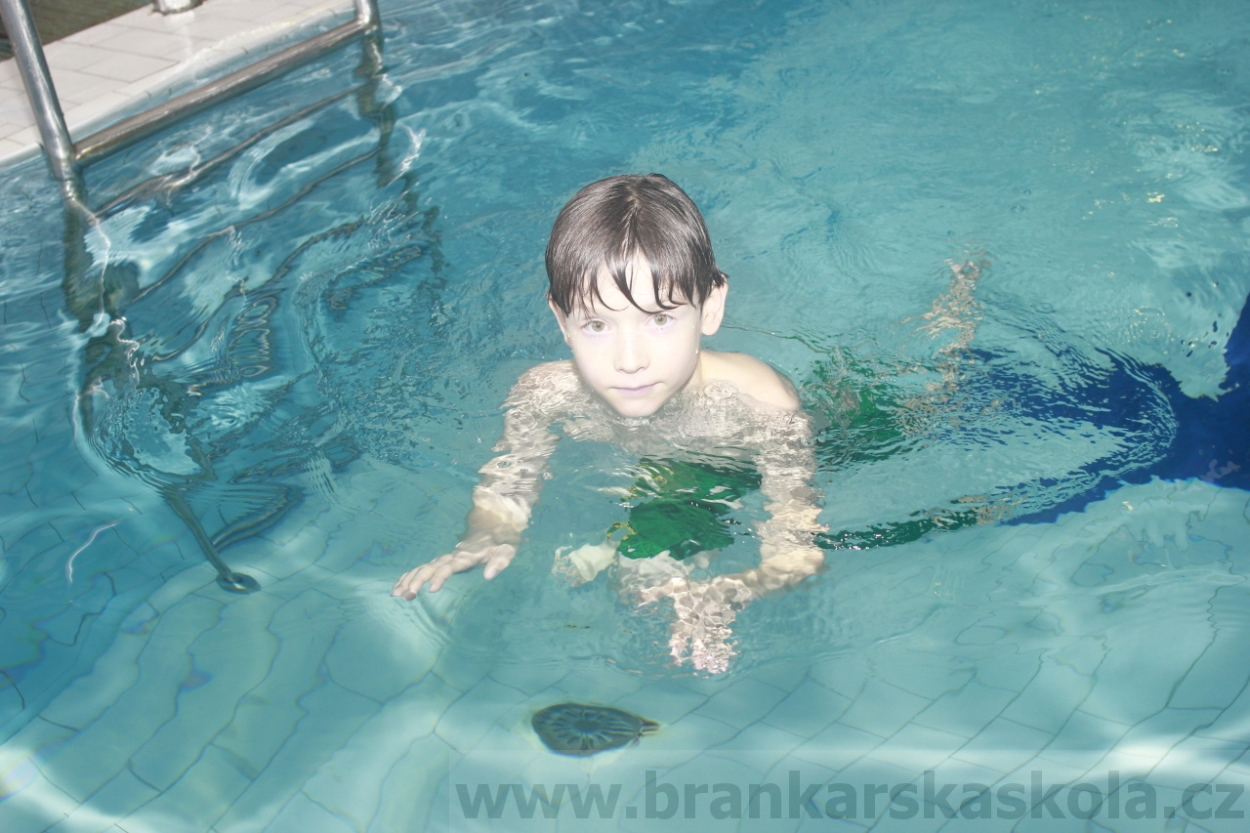 BFŠJCH - Zima 2015 - 1.2.2015