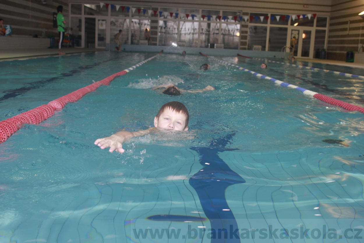 BFŠJCH - Zima 2015 - 1.2.2015