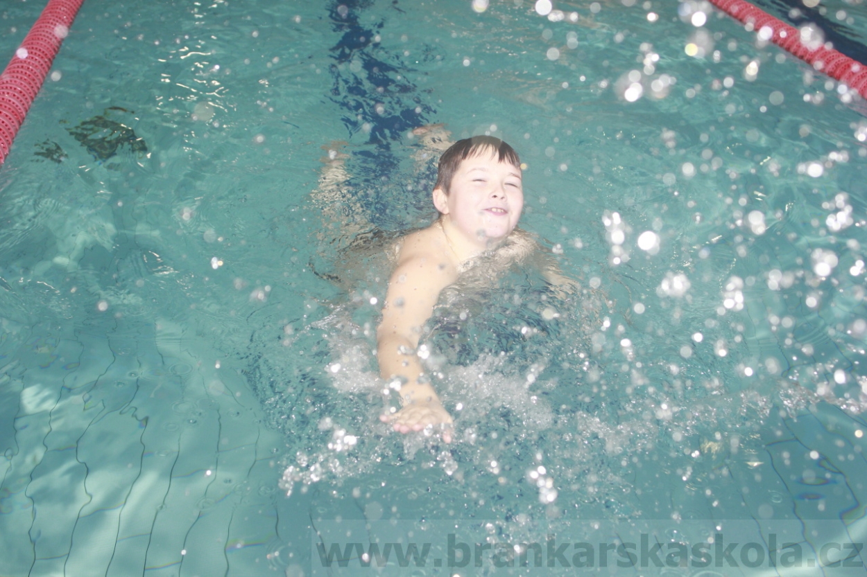 BFŠJCH - Zima 2015 - 1.2.2015