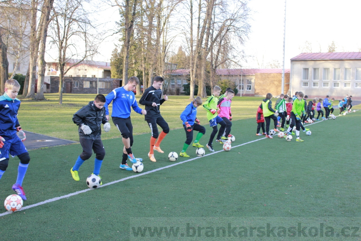 BFŠJCH - Zima 2015 - 29.1.2015