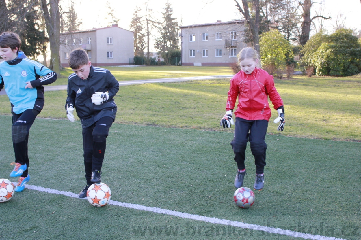 BFŠJCH - Zima 2015 - 29.1.2015