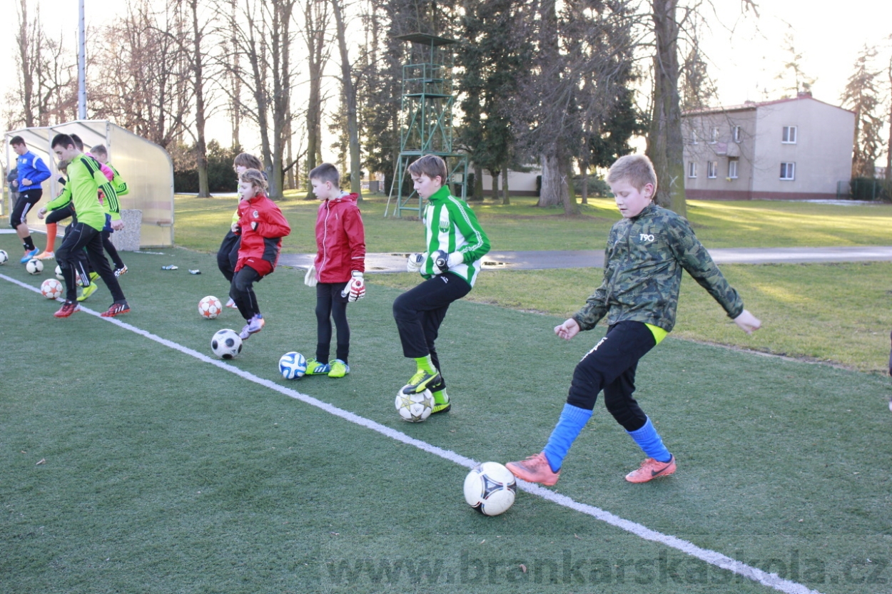 BFŠJCH - Zima 2015 - 29.1.2015