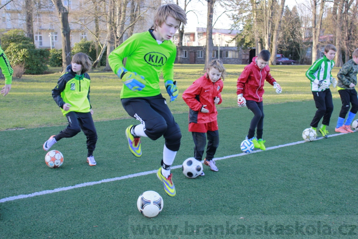 BFŠJCH - Zima 2015 - 29.1.2015