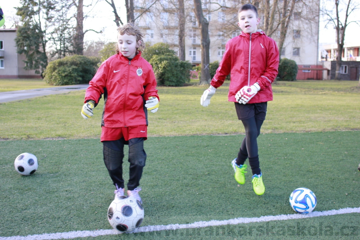 BFŠJCH - Zima 2015 - 29.1.2015